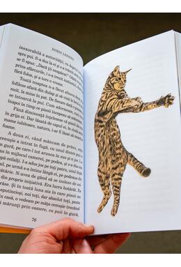 Pachetul iubitorilor de pisici (Despre pisici, De ce n-au pisicile coadă)