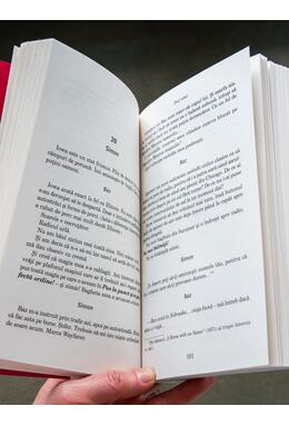 Fiul rebel | paperback