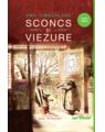 Pachet Funny (Bunicuţa hoţomană lovește din nou, Sconcs și viezure, Școala de spionaj) - thumb 3