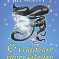 O vrăjitoare îngrozitoare salvează situația | paperback - gallery small 