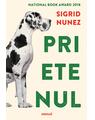 Pachet musai Sigrid Nunez (Prietenul, Sempre Susan) - thumb 3