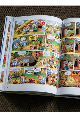 Asterix și duelul șefilor (vol. 7)