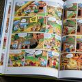 Asterix și duelul șefilor (vol. 7) - gallery small 