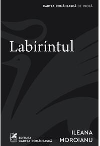 Labirintul