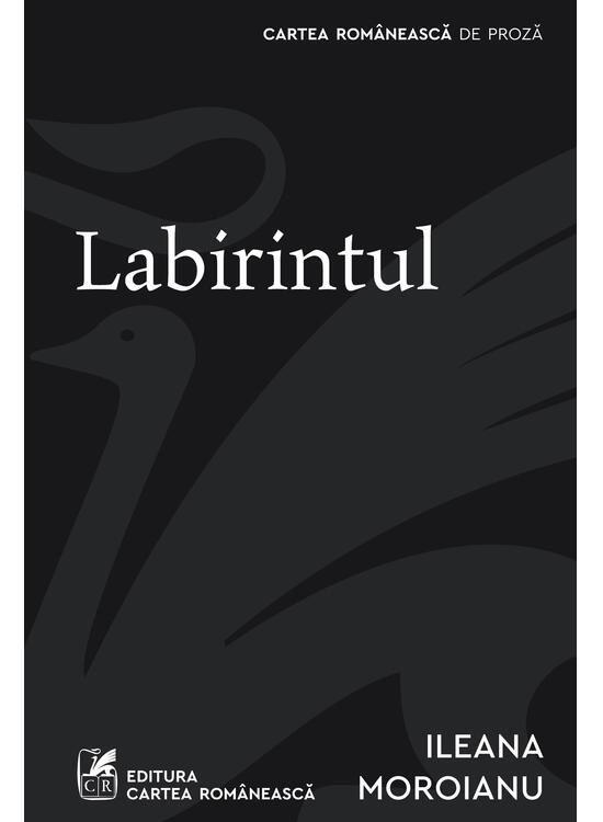Labirintul - gallery big 1
