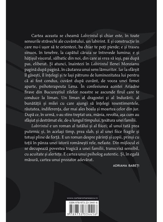 Labirintul - gallery big 2