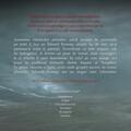 Assassin's Creed. Steagul negru - gallery small 