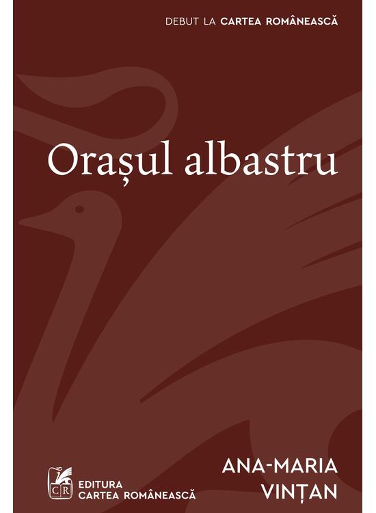 Orașul albastru - gallery big 1
