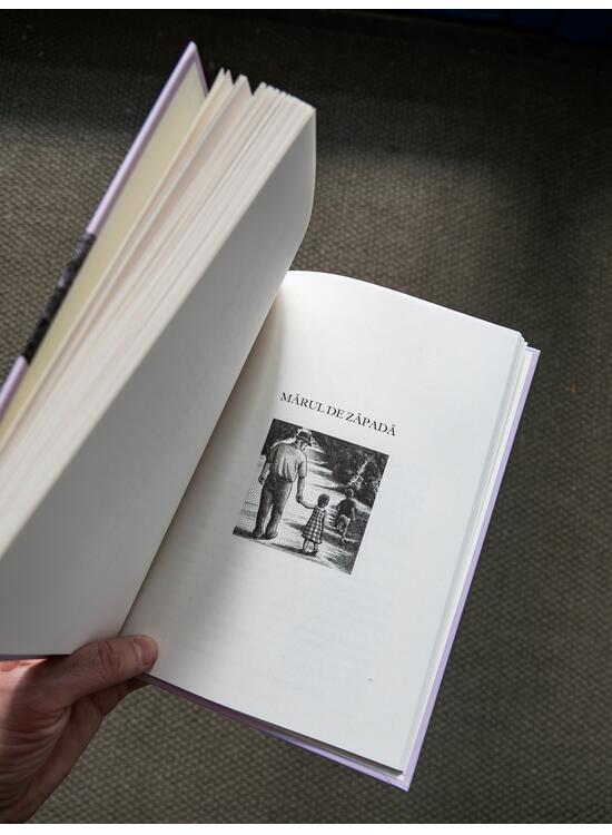 Povestiri cu rost. Antologie de texte basarabene - gallery big 4
