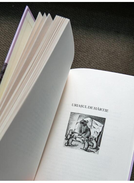 Povestiri cu rost. Antologie de texte basarabene - gallery big 5