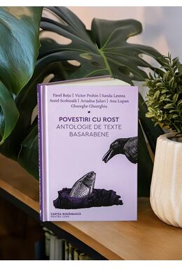 Povestiri cu rost. Antologie de texte basarabene