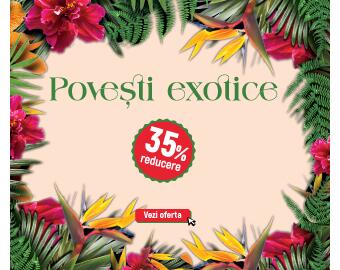 YOUNGART_Pachete 35% reducere (iulie+august)