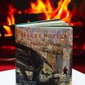 Pachet Harry Potter ediție ilustrată vol 4-5 (Pocalul de Foc , Ordinul Phoenix) - gallery small 