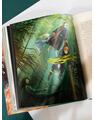 Pachet Harry Potter ediție ilustrată vol 4-5 (Pocalul de Foc , Ordinul Phoenix) - thumb 4