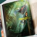 Pachet Harry Potter ediție ilustrată vol 4-5 (Pocalul de Foc , Ordinul Phoenix) - gallery small 