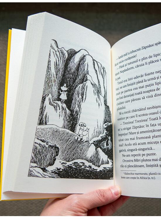 Pachet Aventuri în Momilandia (3 volume) - gallery big 4