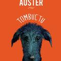Pachet Paul Auster (Cartea iluziilor,Tombuctu) - gallery small 