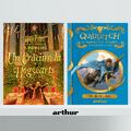 Pachet fan Harry Potter (Crăciun la Hogwarts, Quidditch) - gallery small 
