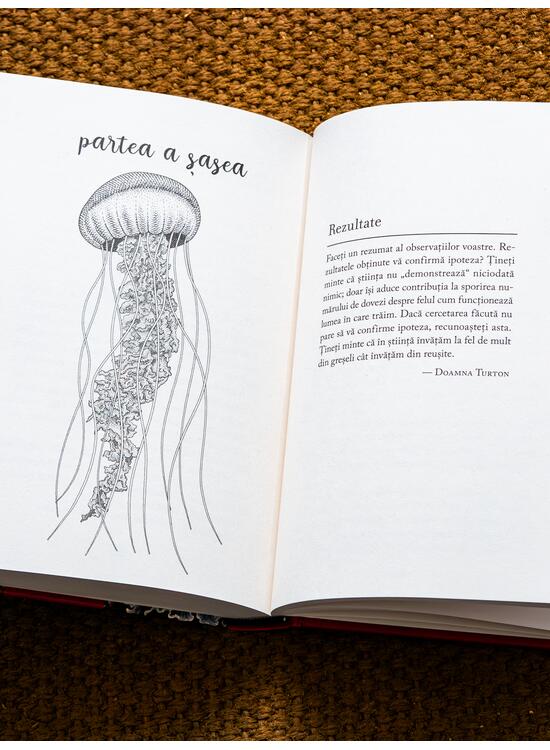 Ce am aflat despre meduze - gallery big 4