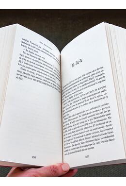 Deconectați | paperback