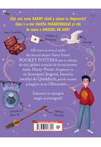 Pocket Potters #1. Ghiduri pentru Seria Harry Potter de J.K. Rowlling: Harry Potter