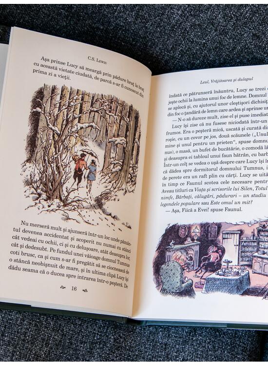 Cronicile din Narnia II. Leul, Vrăjitoarea și dulapul - gallery big 7