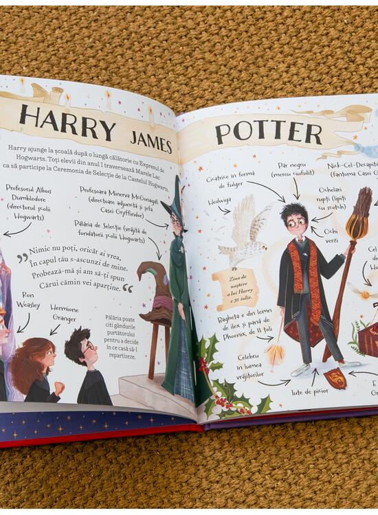 Pocket Potters 1. Ghiduri pentru Seria Harry Potter de J.K. Rowling: Harry Potter - gallery big 4