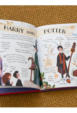 Pocket Potters 1. Ghiduri pentru Seria Harry Potter de J.K. Rowling: Harry Potter