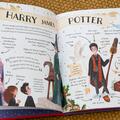 Pocket Potters 1. Ghiduri pentru Seria Harry Potter de J.K. Rowling: Harry Potter - gallery small 