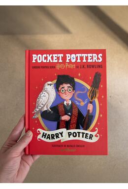 Pocket Potters 1. Ghiduri pentru Seria Harry Potter de J.K. Rowling: Harry Potter