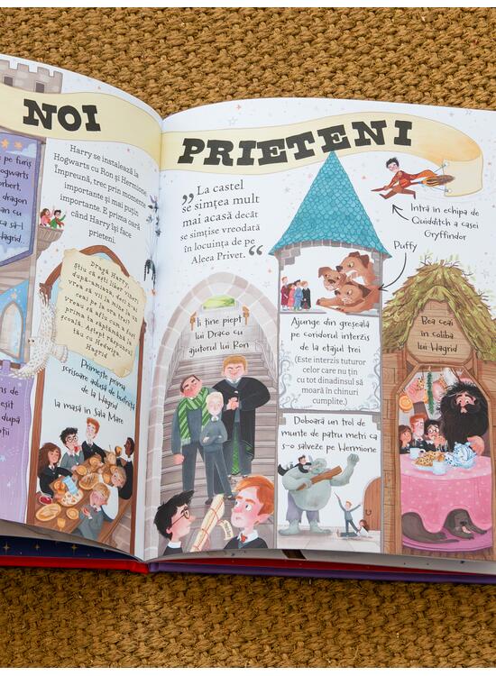 Pocket Potters 1. Ghiduri pentru Seria Harry Potter de J.K. Rowling: Harry Potter - gallery big 5