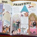 Pocket Potters 1. Ghiduri pentru Seria Harry Potter de J.K. Rowling: Harry Potter - gallery small 