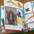 Pocket Potters 2. Ghiduri pentru Seria Harry Potter de J.K. Rowlling: Hermione Granger - gallery small 
