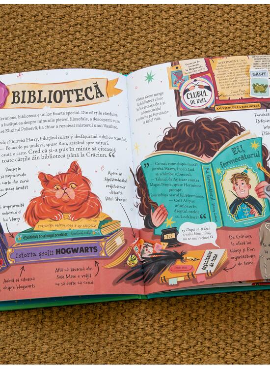 Pocket Potters 2. Ghiduri pentru Seria Harry Potter de J.K. Rowlling: Hermione Granger - gallery big 5