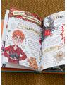 Pocket Potters 3. Ghiduri pentru Seria Harry Potter de J.K. Rowlling: Ron Weasley - thumb 5