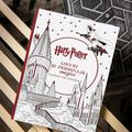 Harry Potter. Carte de colorat. Locuri și personaje magice - gallery small 