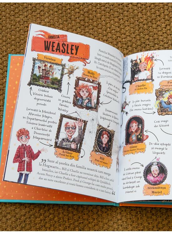 Pachet 3 ghiduri pentru Seria Harry Potter (Harry, Hermione și Ron) - gallery big 4
