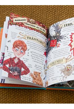 Pachet 3 ghiduri pentru Seria Harry Potter (Harry, Hermione și Ron)