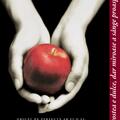 Amurg  vol.1 | paperback - gallery small 