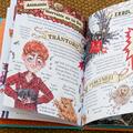 Copertă produs Pachet educativ Harry Potter pentru copii 8&ndash;14 ani (Un an magic, 3 ghiduri Pocket Potters) - gallery small 