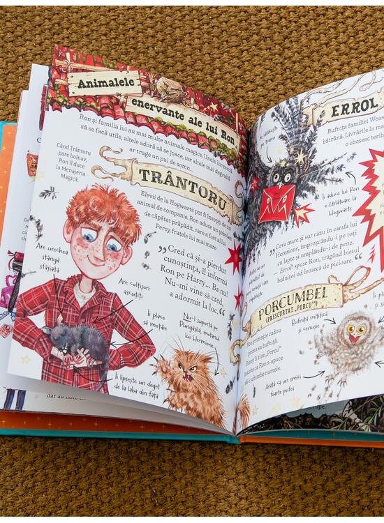 Copertă produs Pachet începător Harry Potter ( Piatra filosofală și 3 ghiduri de fan: Harry, Hermione și Ron) - gallery big 5