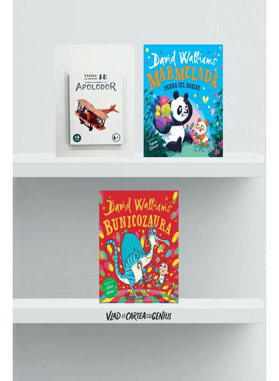 Pachet D. Walliams (Bunicozaura, Marmeladă. Panda cel Roșcat) + puzzle avion - gallery big 1