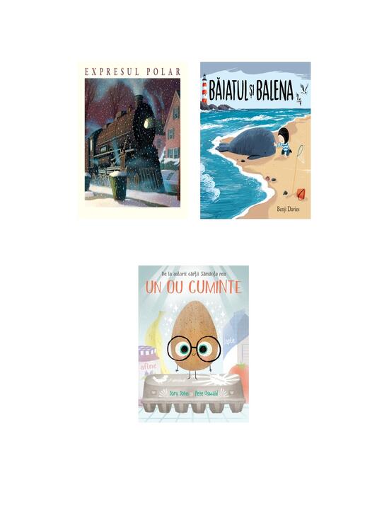Copertă produs Pachet povești pentru băieți (Expresul Polar, Băiatul și balena, Un ou cuminte) - gallery big 5