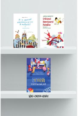 Copertă produs Pachet 3 povești cu întrebări fantastice (Crăciunul Domnișoarei Poimâine, De ce zboară vrăjitoarele..., Improvești)