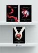 Pachet Amurg Stephenie Meyer ( primele 3 volume)