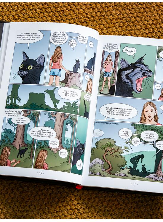 Copertă produs Pachet Coraline 2 volume (romanul și banda desenată) - gallery big 5