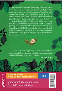 Copertă produs Pachet 2 cărți despre fragilitatea lumii (Platanos, Casa)