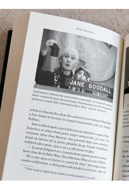 Copertă produs Pachet Sapiens (Cartea speranței, Cei 33)