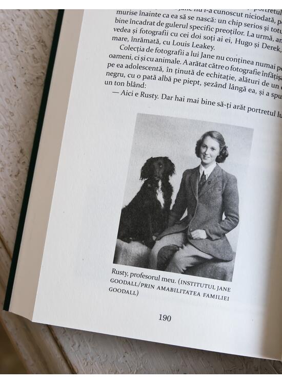 Copertă produs Pachet Sapiens (Cartea speranței, Cei 33) - gallery big 6