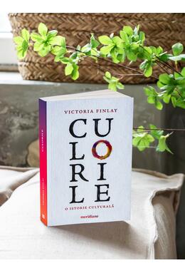 Copertă produs Pachet Meridiane artistice (Culorile. O istorie culturală, Nu vedeți nimic)